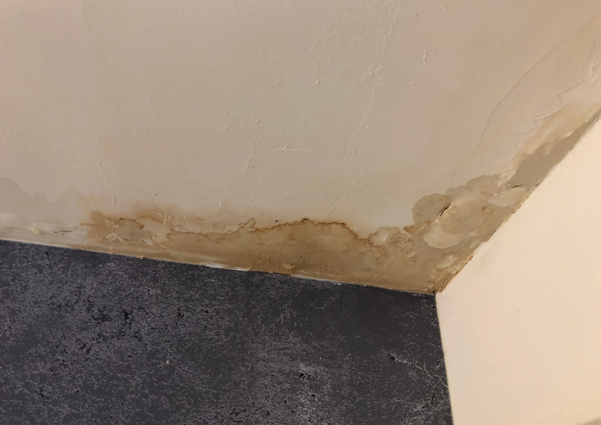 Ceiling water stain and dripping leak being inspected by a Rockwall plumber locating hidden pipe damage behind the ceiling